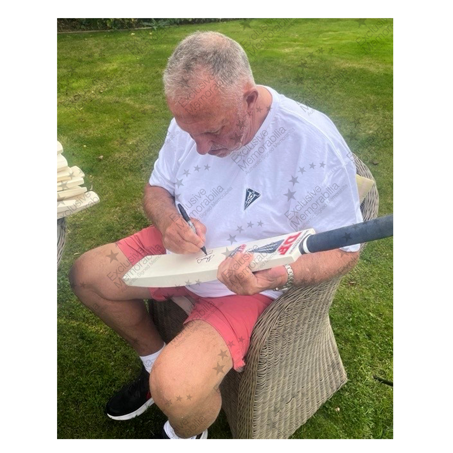 Mini Batte De Cricket Signée Ian Botham – Encadrée – Angleterre